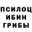 Галлюциногенные грибы Magic Shrooms Tanysha Drozdova