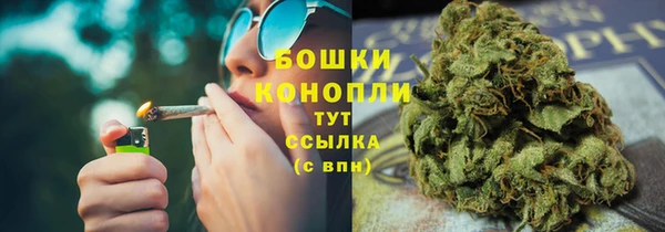 спиды Богородск
