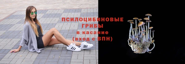 скорость Богородицк