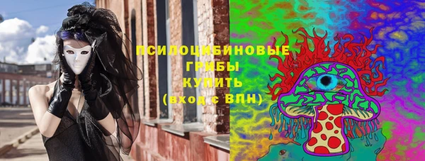 спиды Богородск