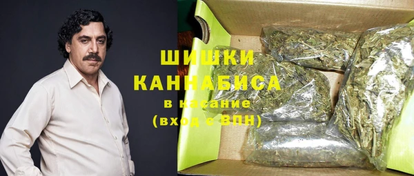 спиды Богородск