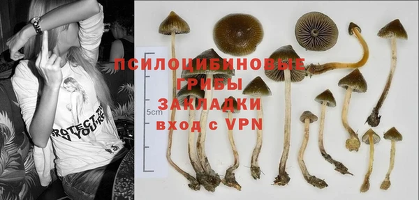 МДМА Богданович