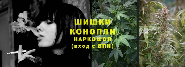 спиды Богородск